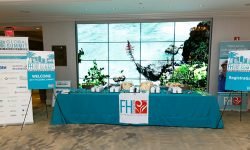 Recapitulação do HF Global Summit 2017 – parte 2